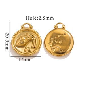 1 Piece Retro Classic Style Aquarius Shape Stainless Steel  Gold Color Unisex Pendant h5 